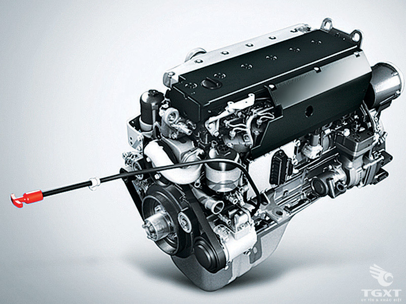 Xe Tải Fuso FJ 13 Tấn 3 Chân Chở Gia Súc