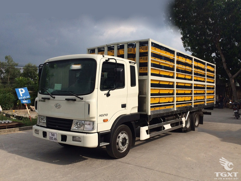 Xe Tải Hyundai HD210 12 Tấn 3 Trục Rút Chở Gia Cầm