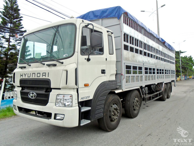 Xe Tải Hyundai HD320 4 Chân Chở Gia Súc 15 tấn