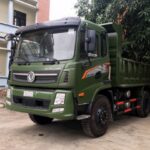 Xe Ben Trường Giang 8T4 TG-DFM8,3B4X2