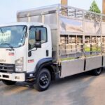 Xe Tải Isuzu FRR90NE5 5 Tấn Thùng Chở Gia Súc
