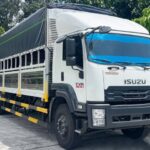 Xe Tải Isuzu FVR34VE5 6 Tấn Chở Xe Máy