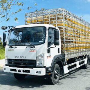 Xe Tải Isuzu FRR90NE5 5.5 Tấn Thùng Chở Gia Cầm