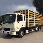 Xe Tải Hyundai HD210 12 Tấn 3 Trục Rút Chở Gia Cầm