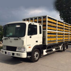 Xe Tải Hyundai HD210 12 Tấn 3 Trục Rút Chở Gia Cầm