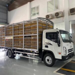 Xe Tải Chở Gia Cầm Hyundai Mighty EX8 GTL 6 Tấn