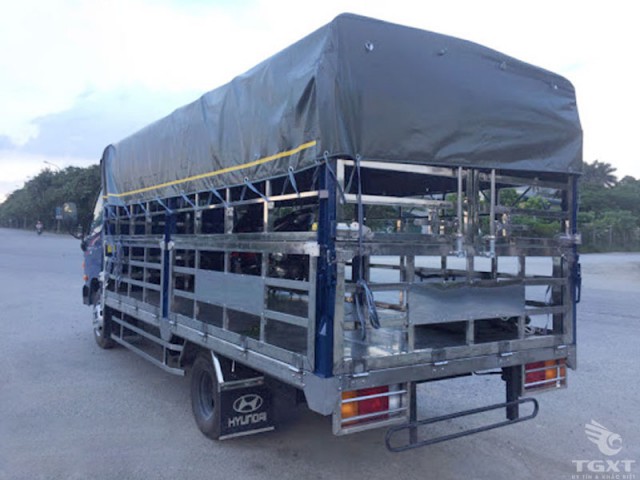 Xe Tải Chở Gia Cầm Hyundai New Mighty N250SL 2 Tấn - Ảnh 3