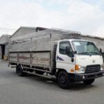 Xe Tải Hyundai HD120SL 8 Tấn Chở Gia Súc