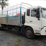Xe Tải Dongfeng Hoàng Huy B190 Thùng Bạt 9T15