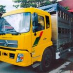 Xe Tải Dongfeng 7T5 B190 Chở Gia Súc