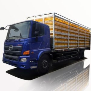 Xe Tải Hino 13 Tấn 3 Chân Chở Gia Cầm
