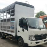 Xe Tải Hino Dutro 3 Tấn Chở Mô Tô Xe Máy 2 Tầng