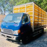 Xe Tải Hyundai 3T3 HD78 Chở Gia Cầm