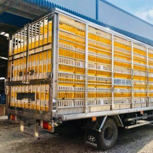 Alternative view of Xe Tải Hyundai 3T3 HD78 Chở Gia Cầm