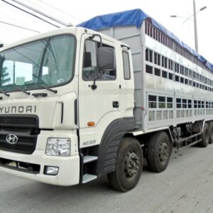 Xe Tải Hyundai HD320 4 Chân Chở Gia Súc 15 tấn