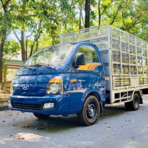 Xe Tải Chở Gia Cầm Hyundai New Porter H150 1 Tấn 2