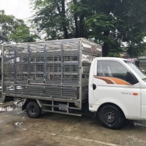 Alternative view of Xe Tải Chở Gia Cầm Hyundai New Porter H150 1 Tấn 2