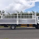 Xe Tải Vĩnh Phát NK490SL Thùng Bạt Gắn Bửng Nâng Dài 6m2